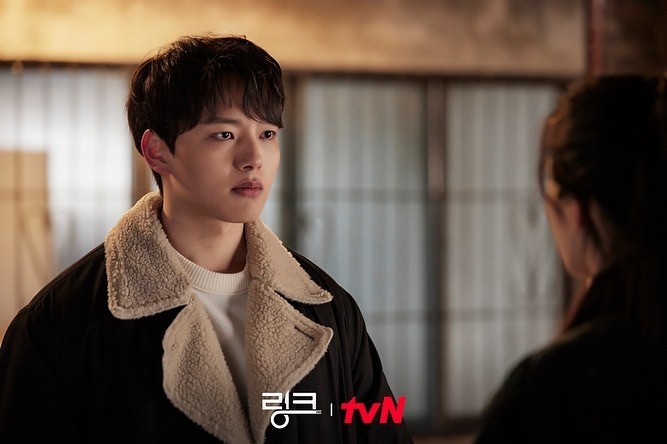 《Link:盡情吃,用力愛》劇情