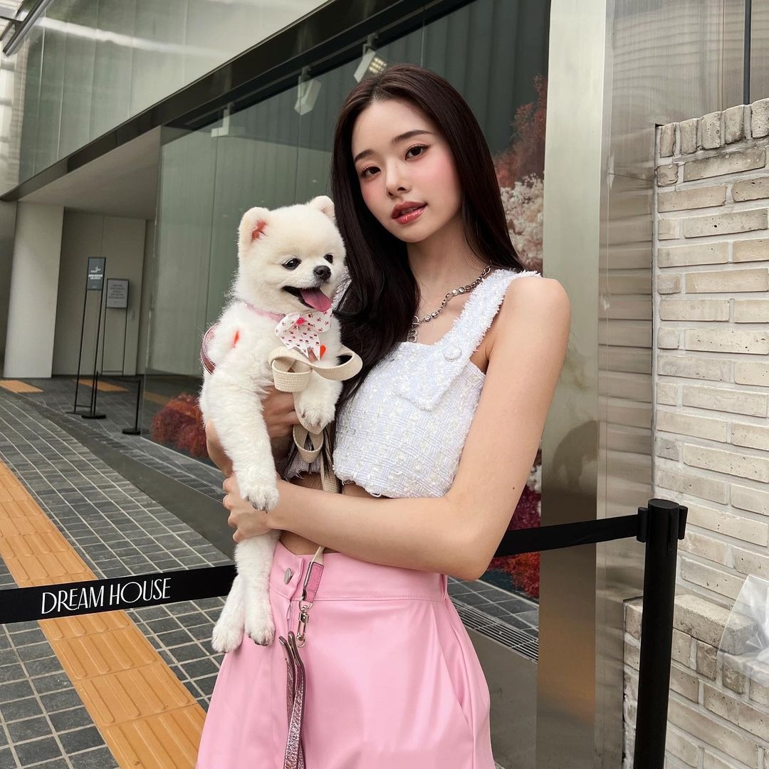 新片吸引近百萬人觀看