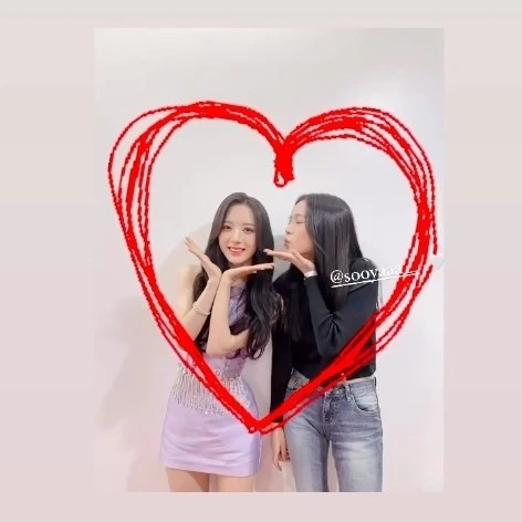 Blackpink成員Jisoo也有去演唱會
