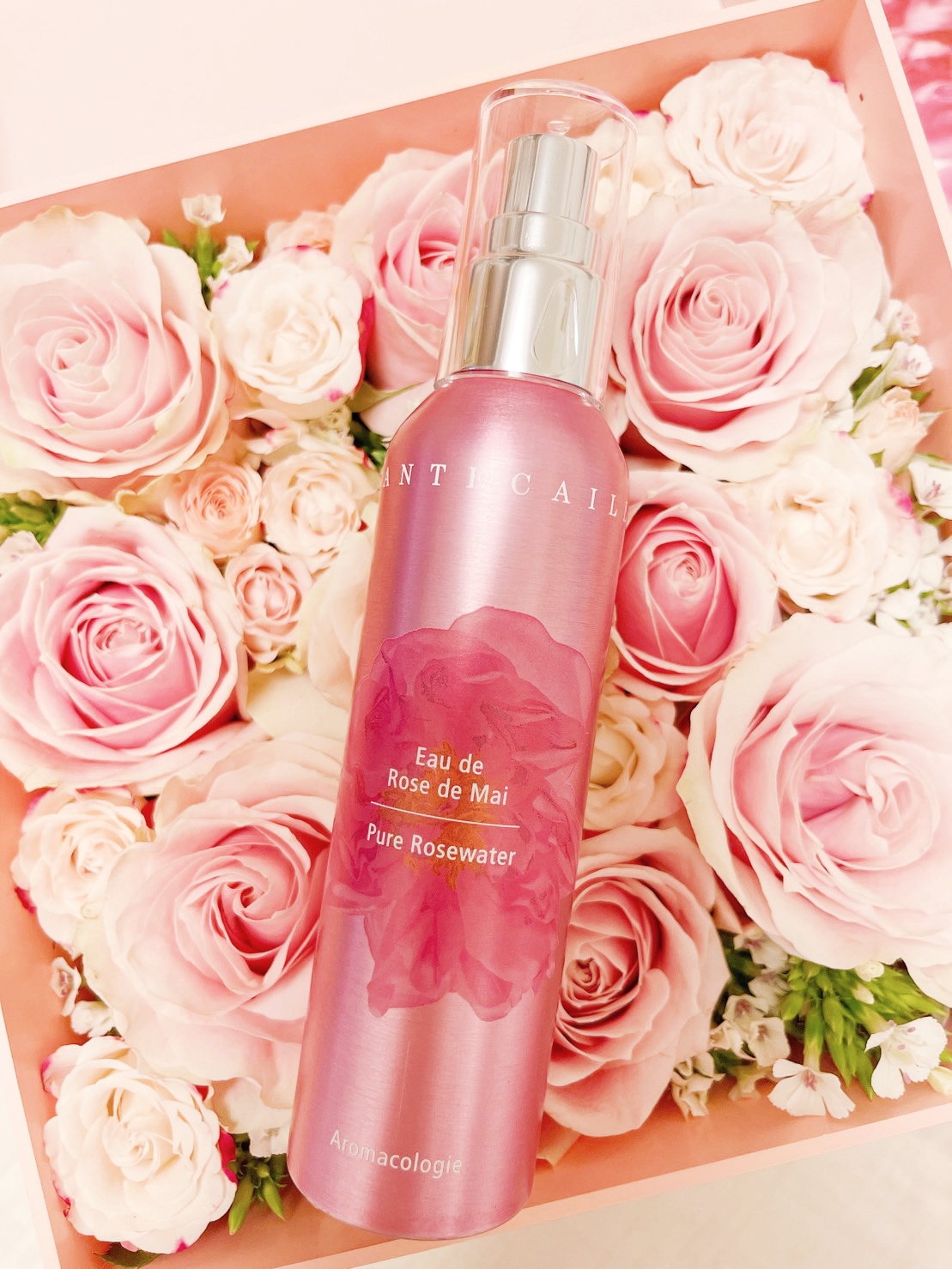 香緹卡 五月玫瑰花妍露節慶限定版