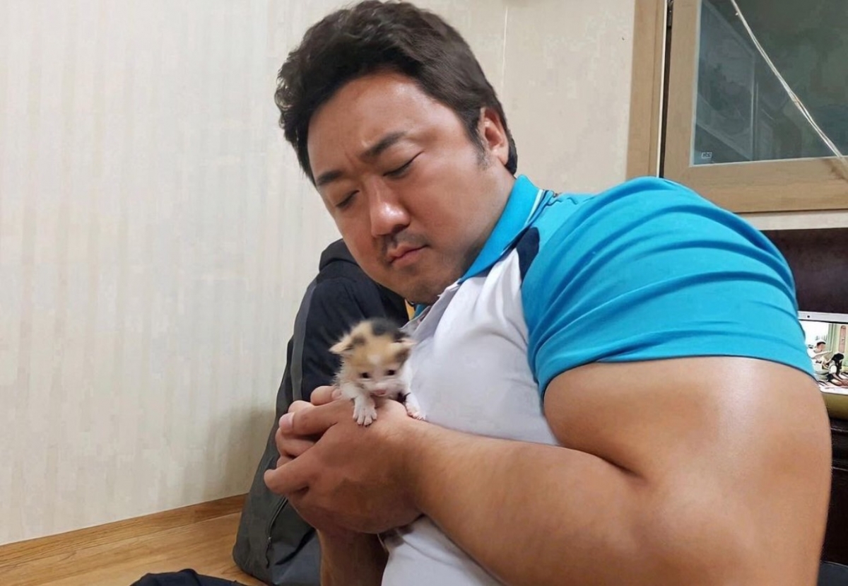 什麼東西在他手上都顯得特別小