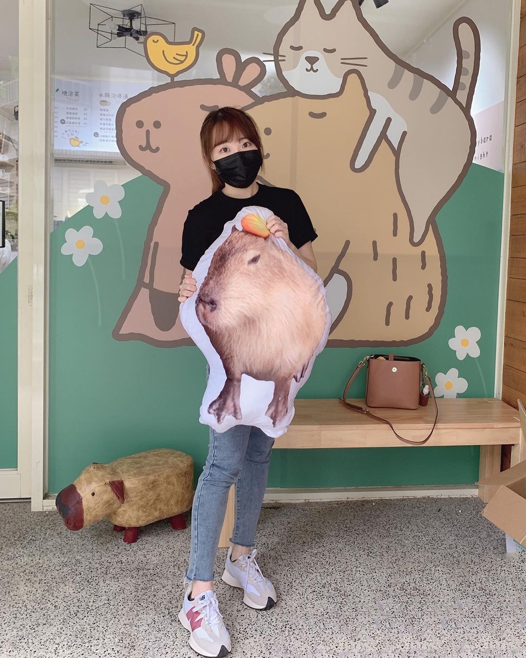 新北土城「水豚騎士」