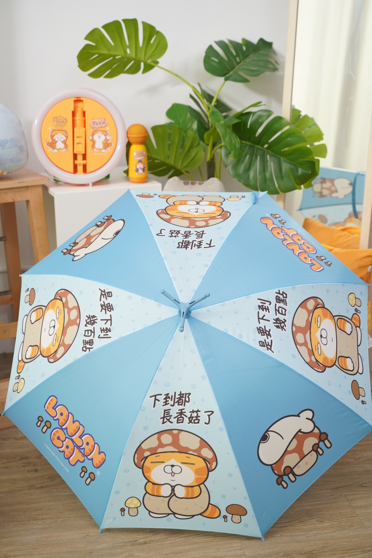 白爛貓直立傘