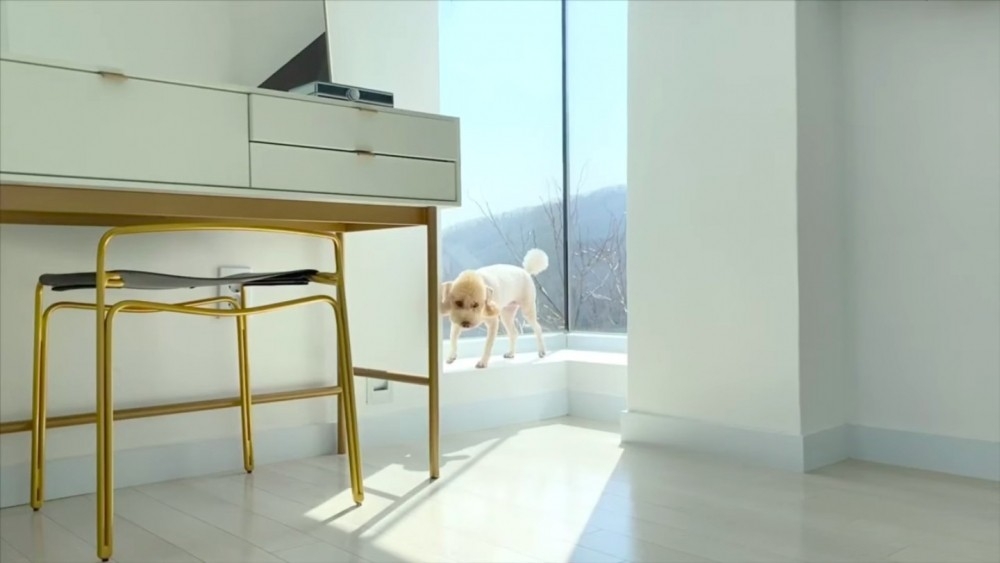 Photo from 엔비푸푸envy poopoo