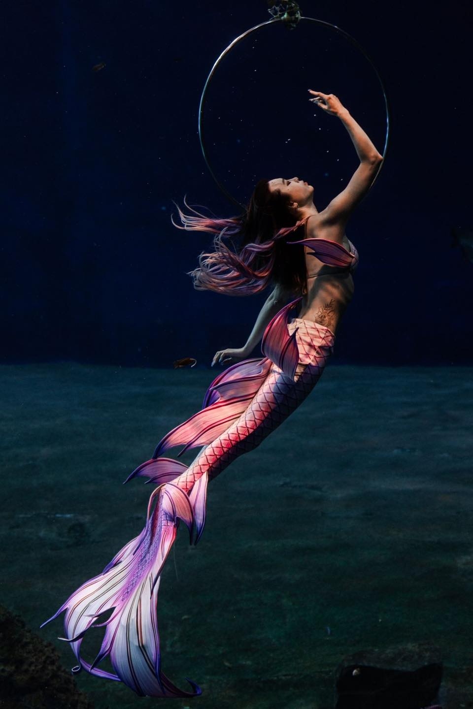 人魚公主的表演
