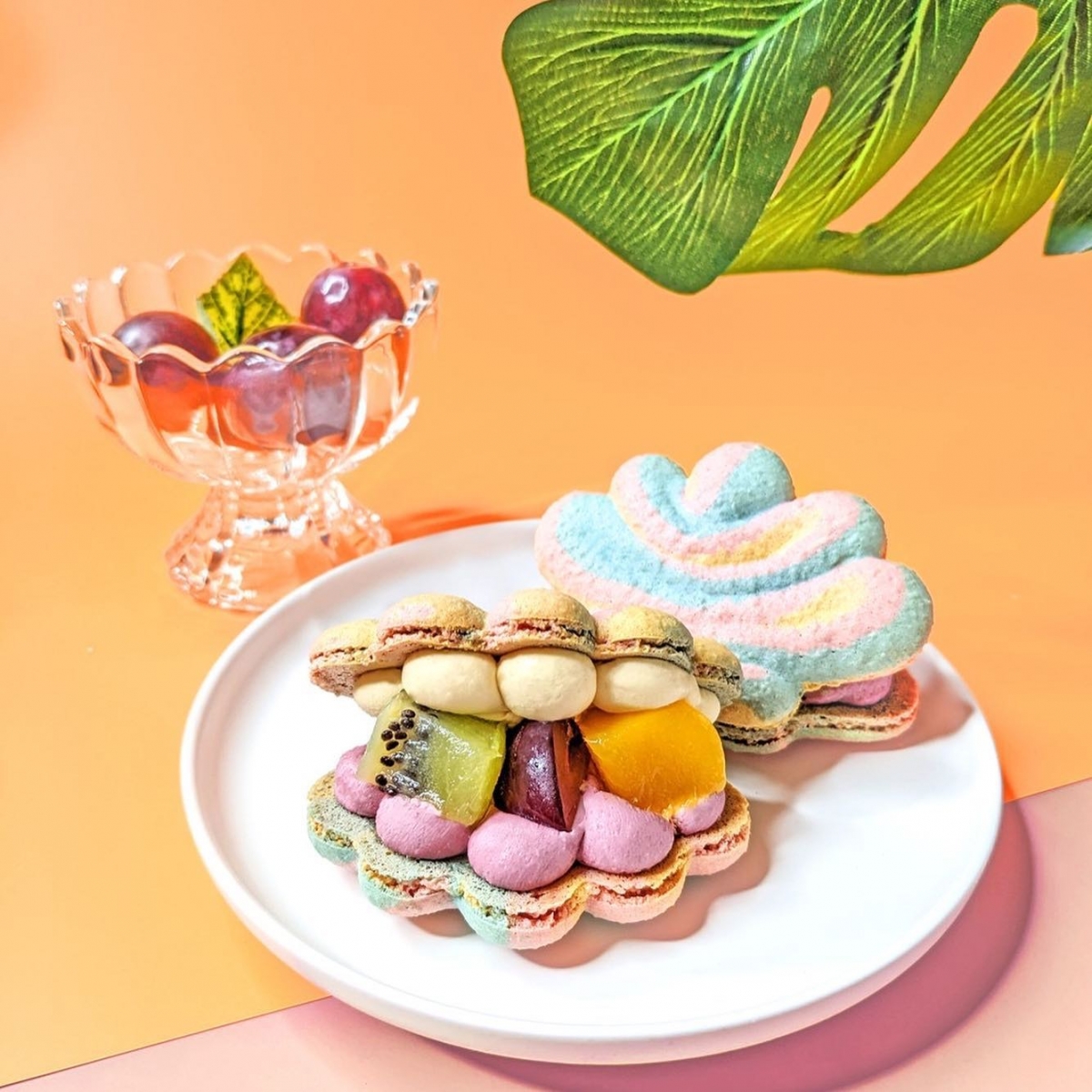 288654439_3255947621329243_2299601152348514331_n