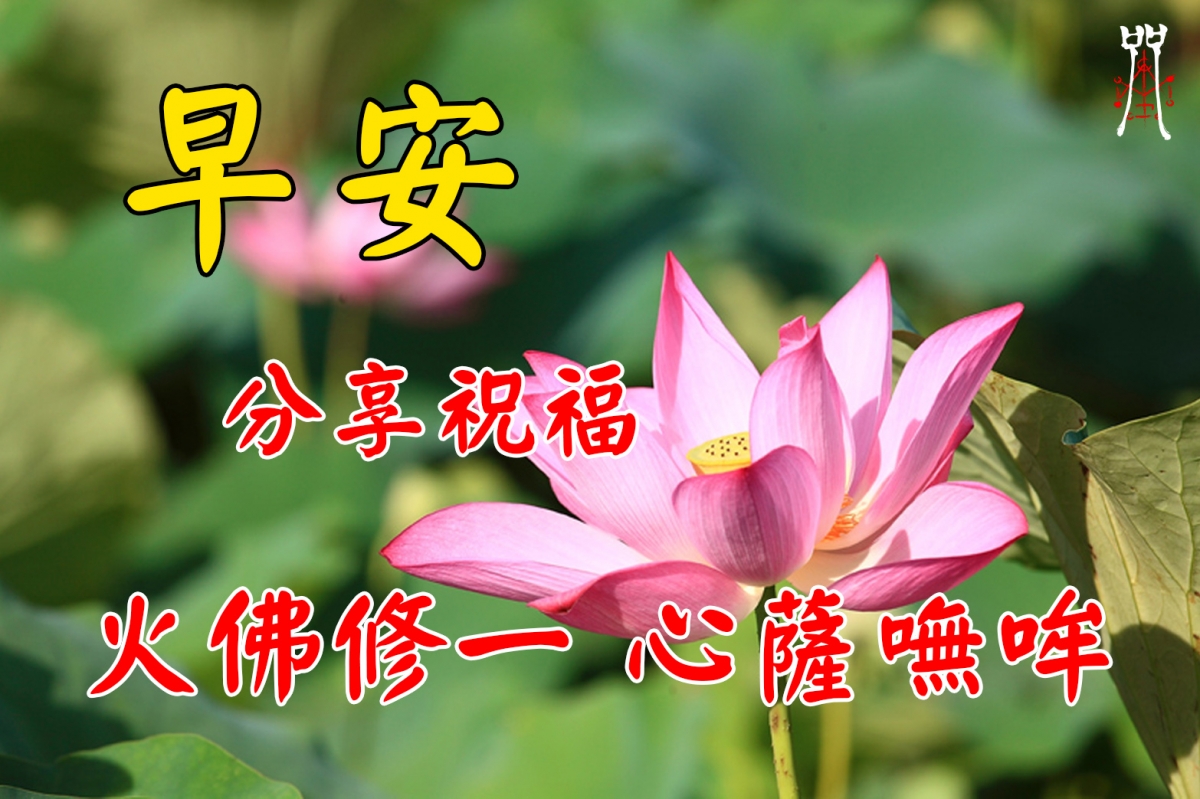長輩祝福圖