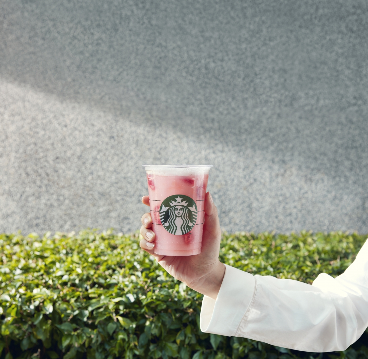 星巴克「草莓巴西莓椰奶風味星沁爽」