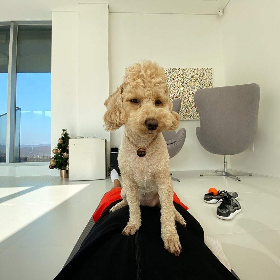 Photo from IG @booboo2injo