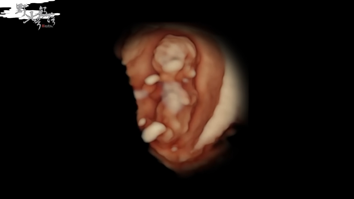 影片曝甜蜜「彩蛋」