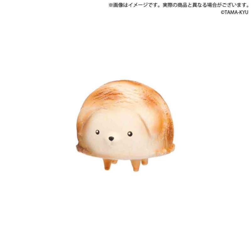 香草巧克力口味