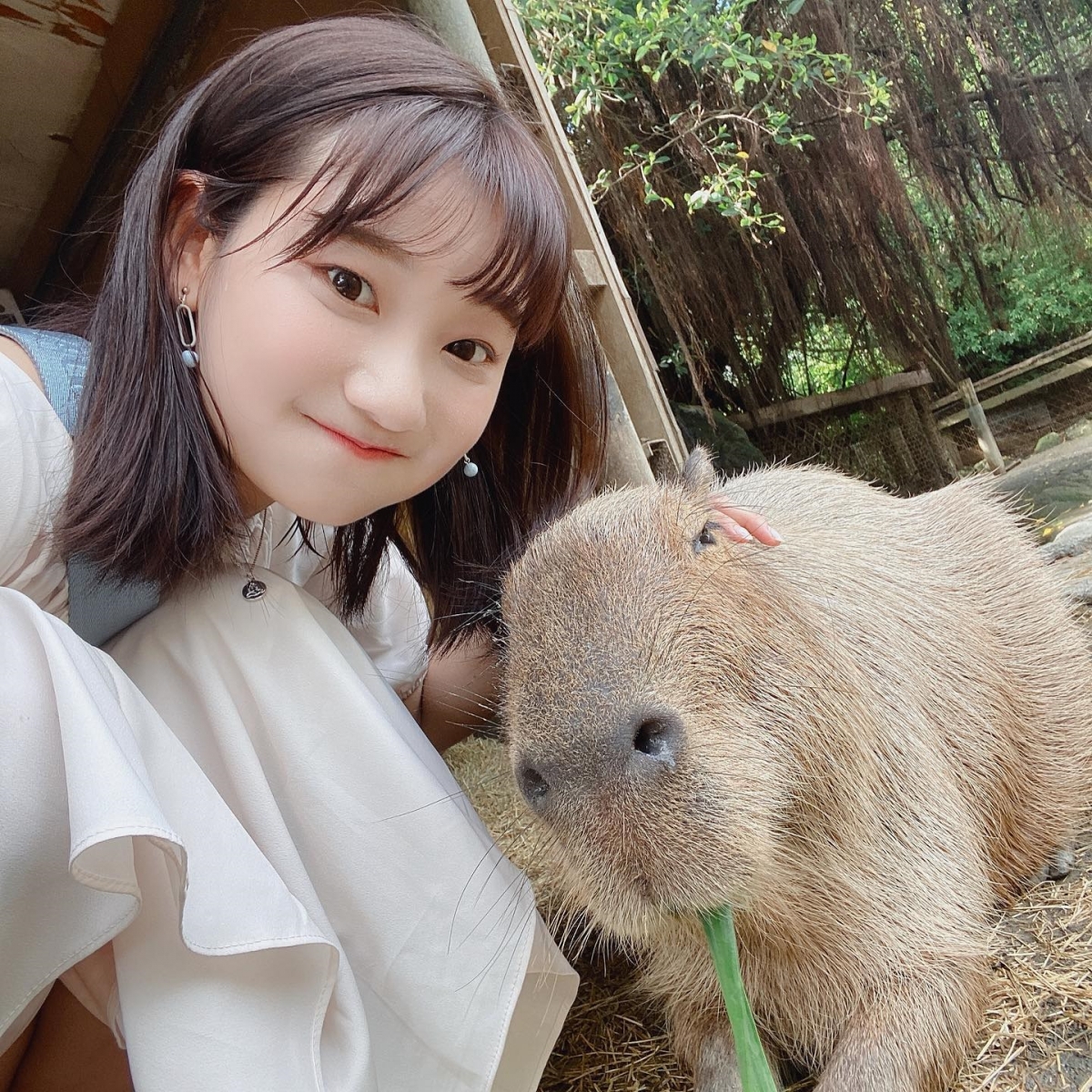 去年防疫期間在家胖5kg