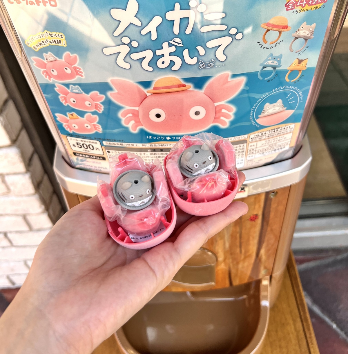 抽到龍貓超幸運