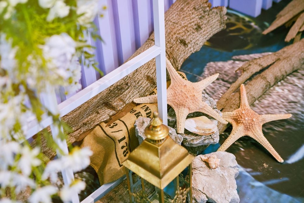 旗津區：海灘逐浪奔愛，為愛走天涯