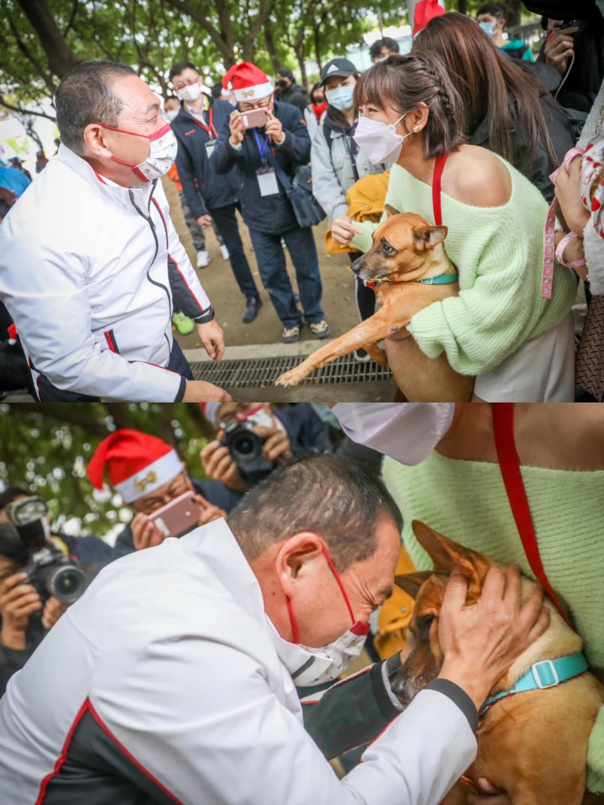 可愛的「米可白」事件掀話題