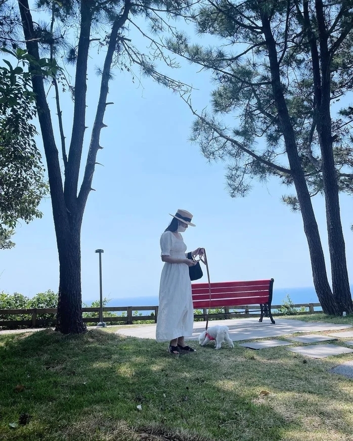 孫藝珍宣布懷孕