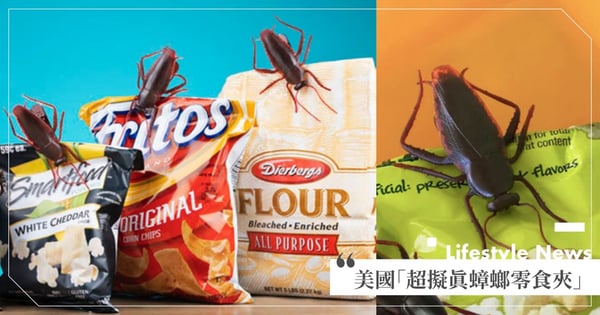 零食再也不怕偷吃！美國「超擬真蟑螂夾」將近13公分大，可夾在任何包裝上～誰都別碰我餅乾（笑）