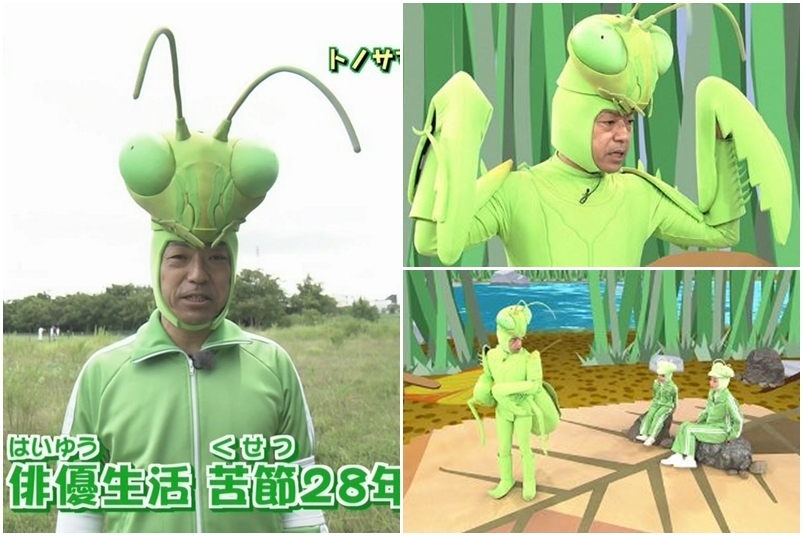 喜歡昆蟲的香川照之Cosplay搞笑開設教育節目，因此更加備受觀眾喜愛