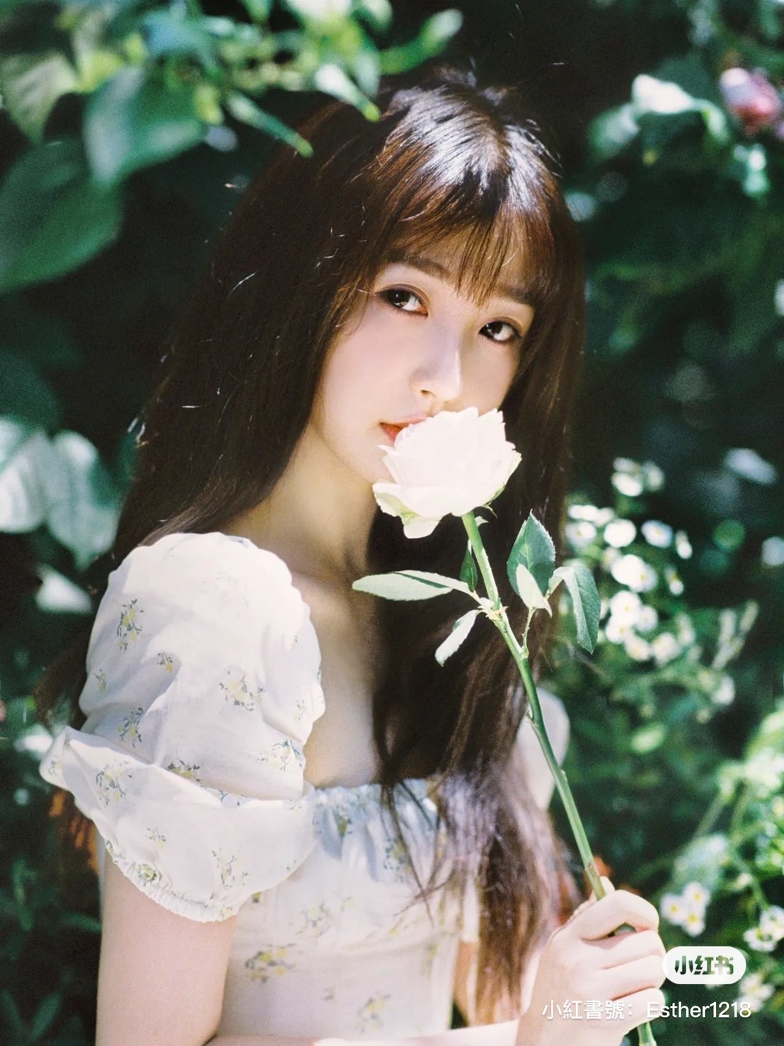 小紅書@虞书欣Esther