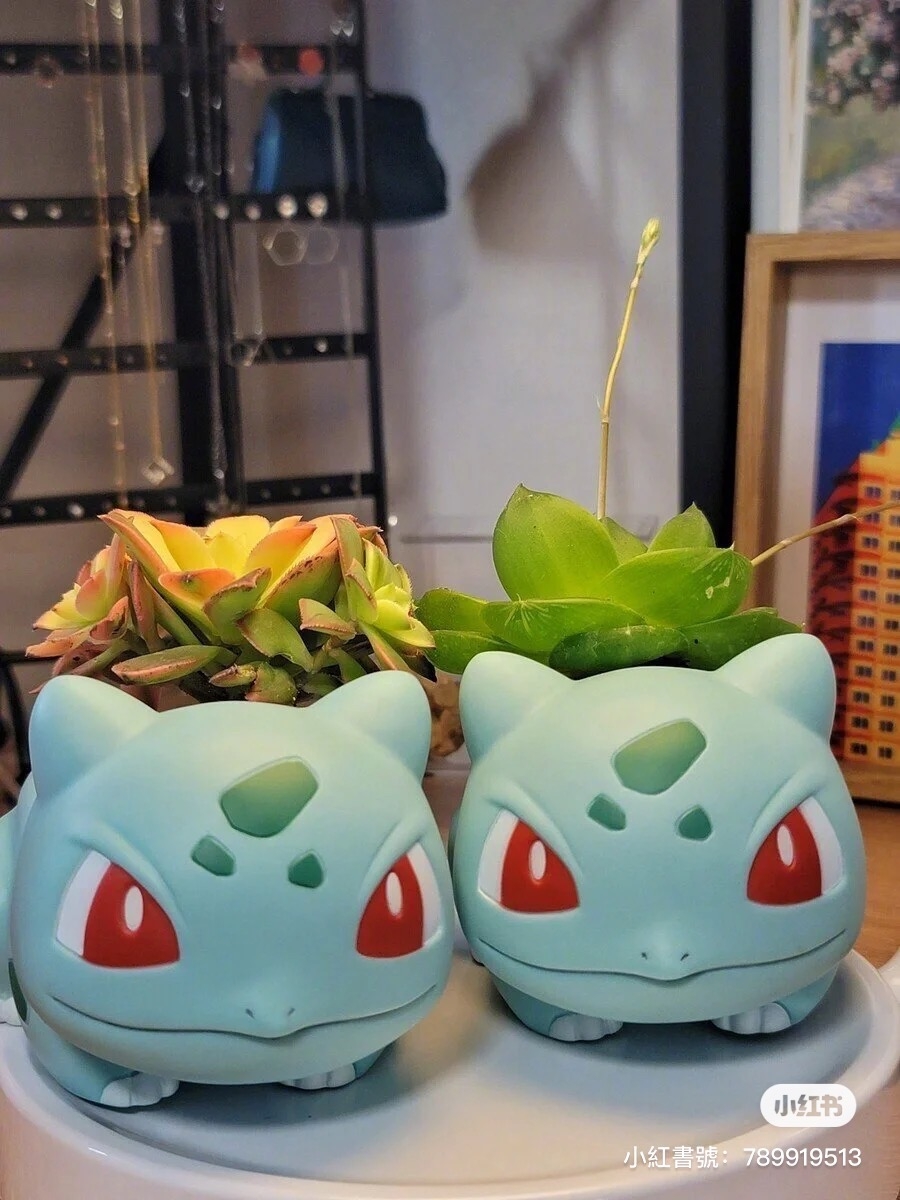 背上種植物的妙蛙種子完全無違和