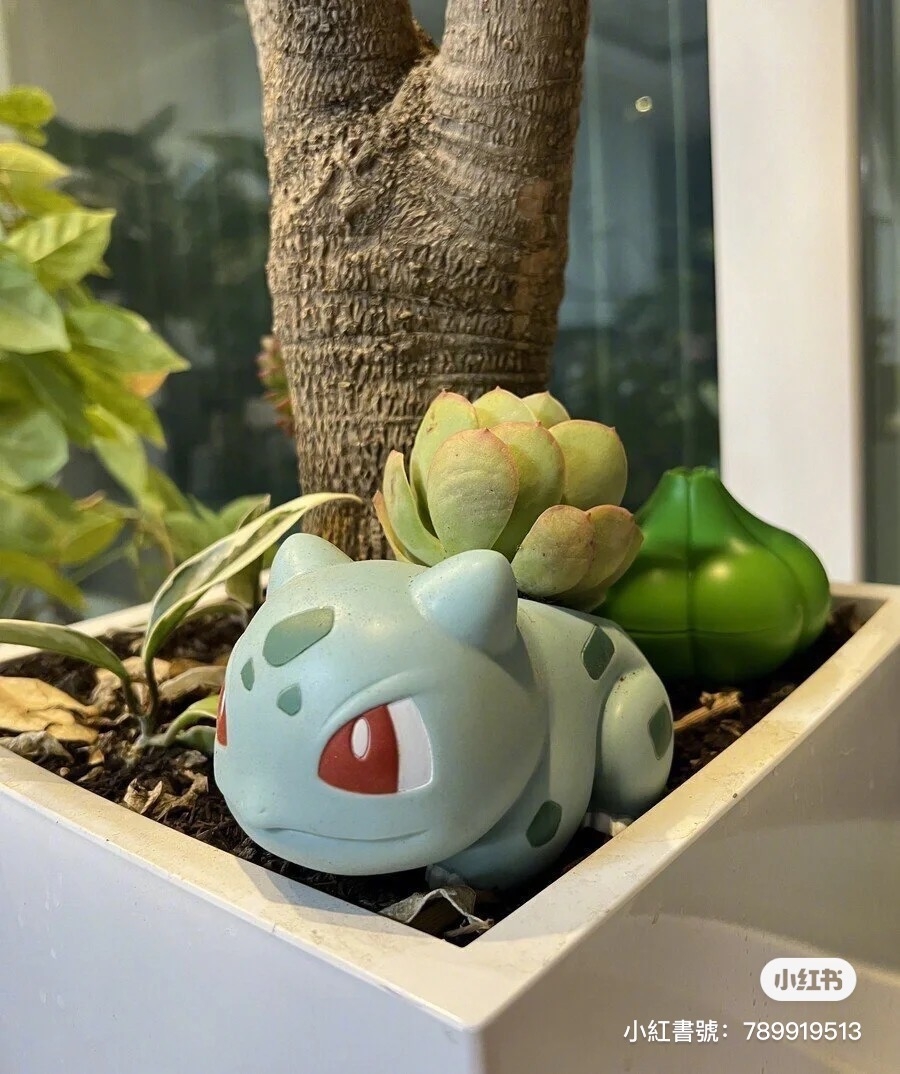 妙娃種子變身多肉植物 31冰淇淋 寶可夢收納盒 超欠買 在樹蔭下乘涼萌翻 簡直就是家中小寵物 Girlstyle 台灣女生日常