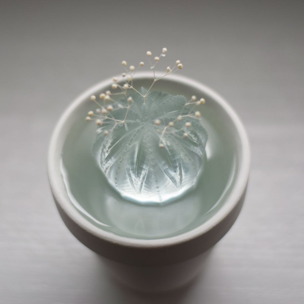 可放入喜歡的乾燥花做裝飾