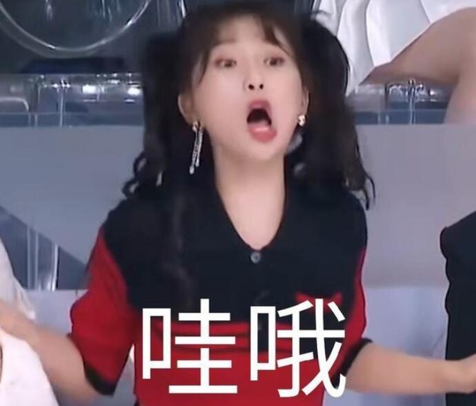 虞書欣表情包