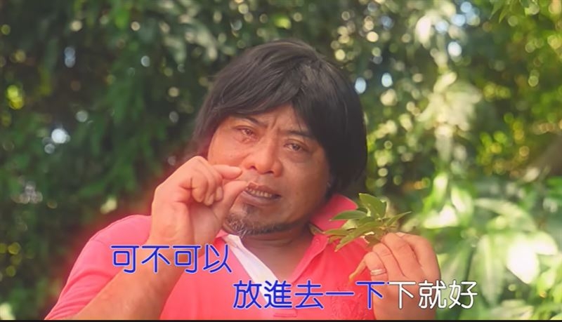 台灣流行語「可不可以放進去一下就好」是什麼?2022神曲女主竟是她