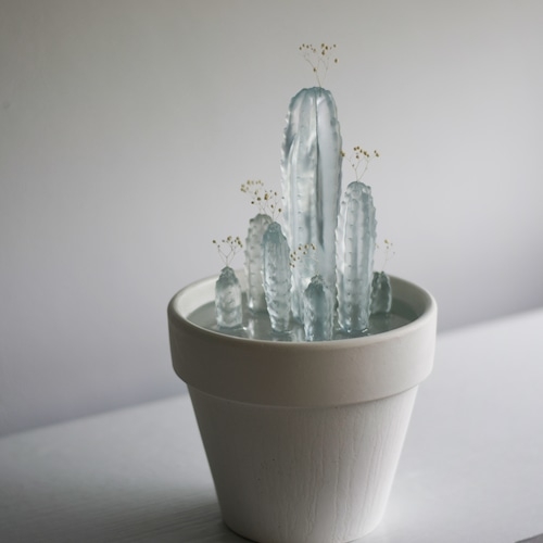 可放入喜歡的乾燥花做裝飾