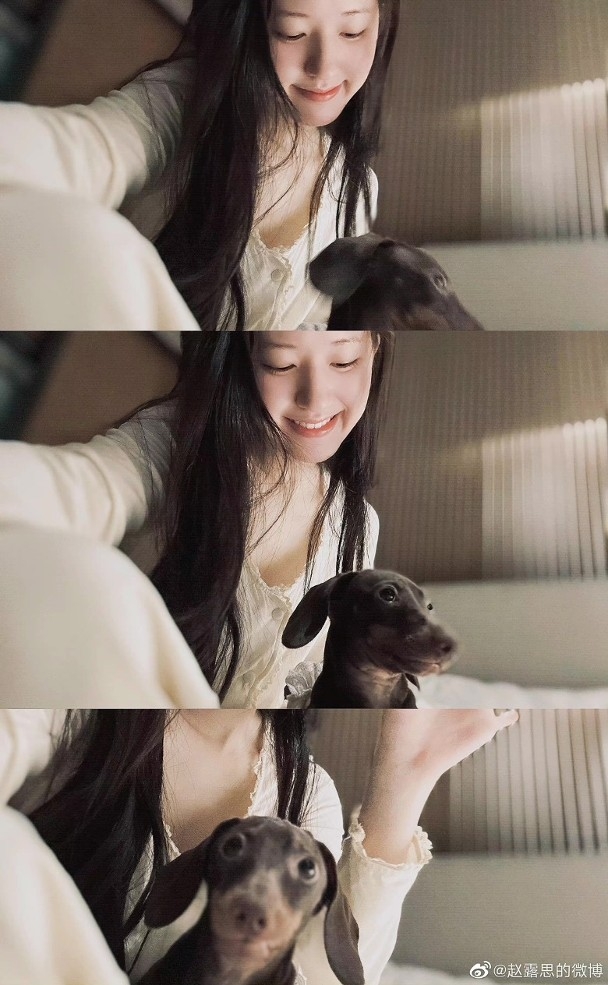 2022年趙露思大紅特紅