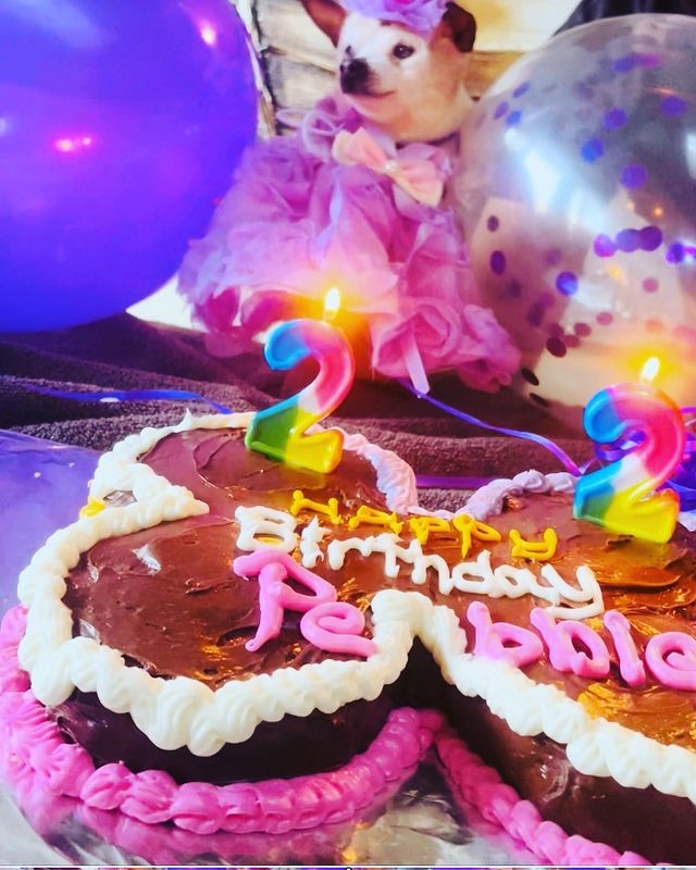 IG@pebbles_since_2000