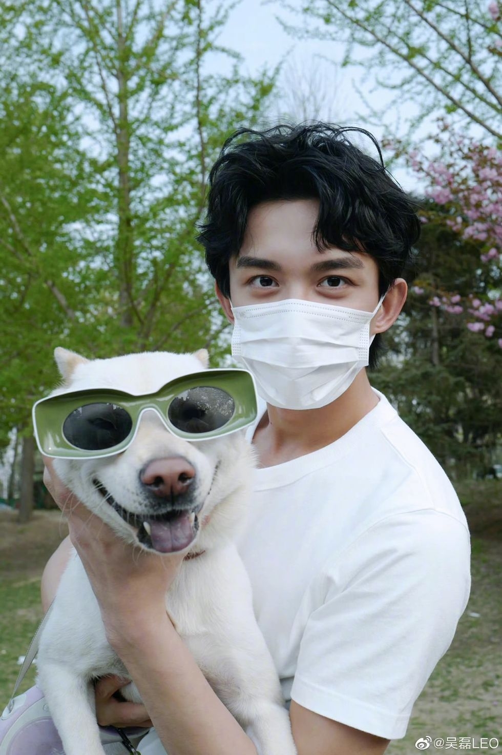 《星漢燦爛》吳磊在片場收養狗狗「小北」