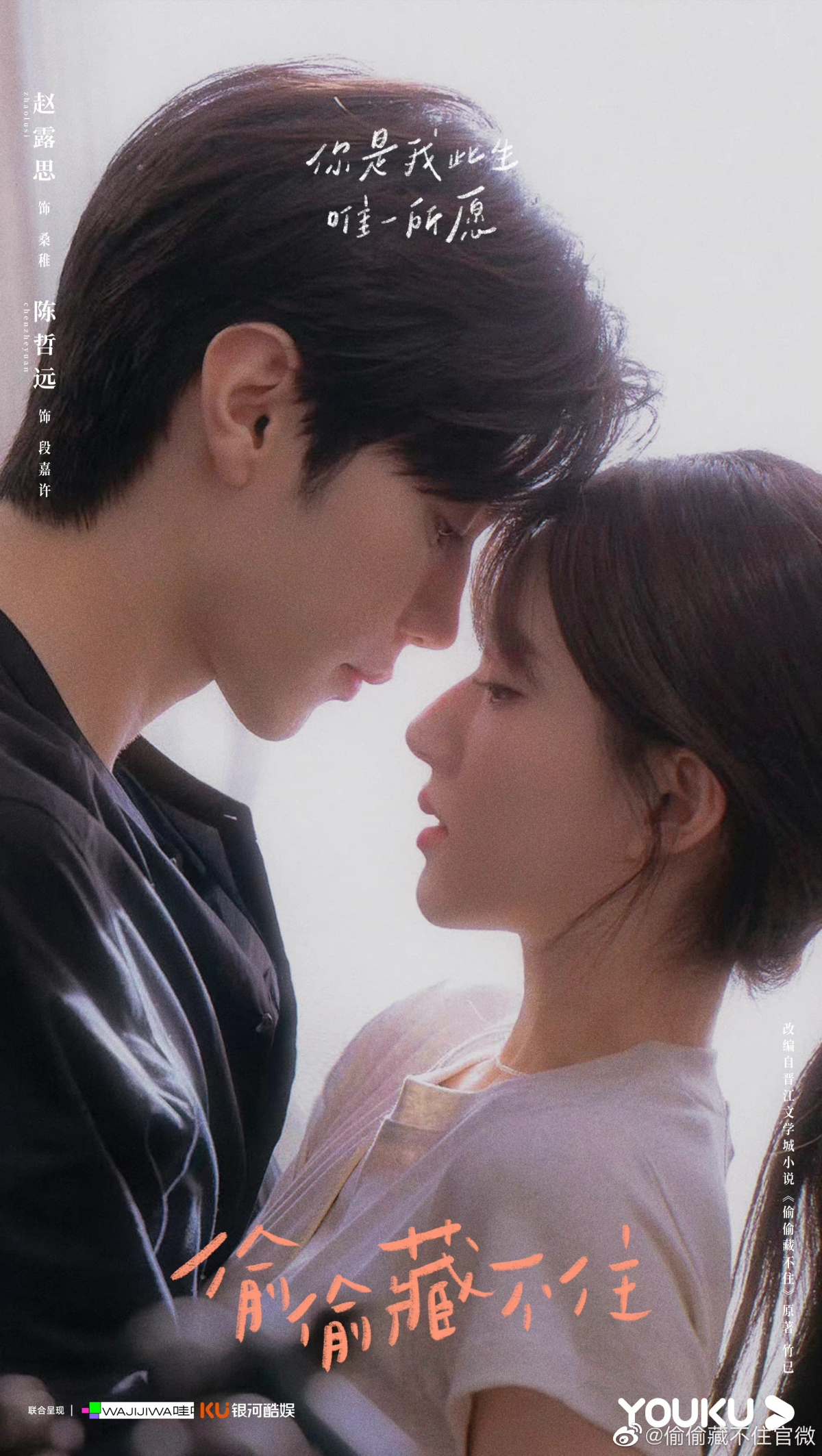 偷偷藏不住海報