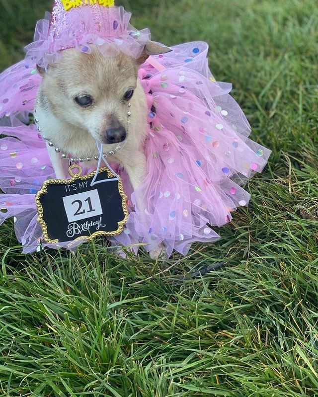 IG@pebbles_since_2000