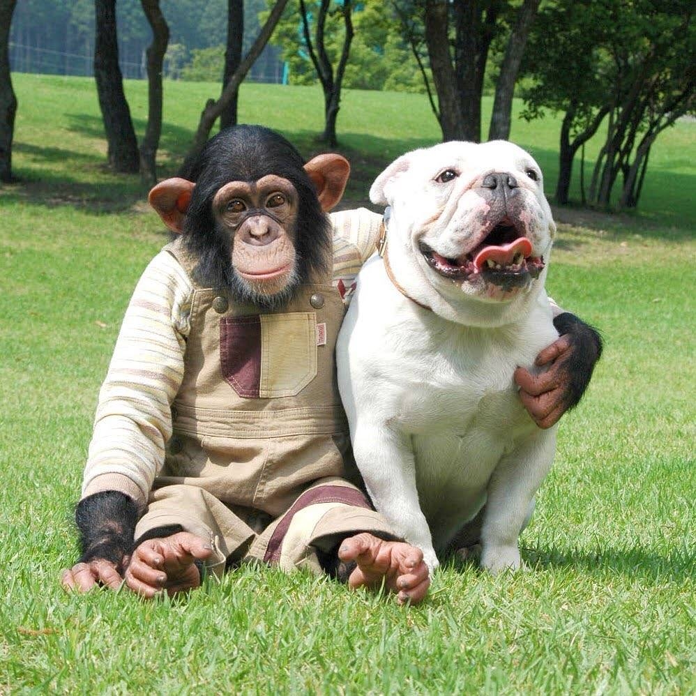 小龐長期接受拍攝訓練