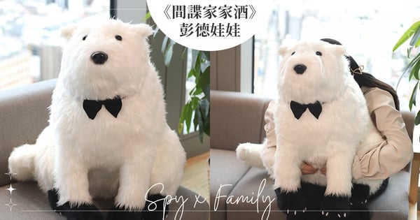可愛爆擊!超巨大《SPYxFAMILY 間諜家家酒》彭德娃娃登場,「66公分大小+可愛肉球」~搭配黑色小領結絕萌♡