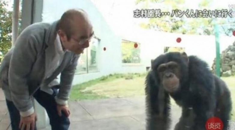 志村健探望小龐