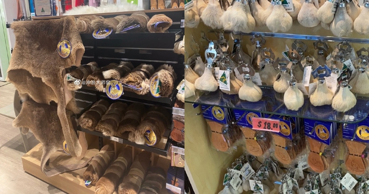 袋鼠商品陳列