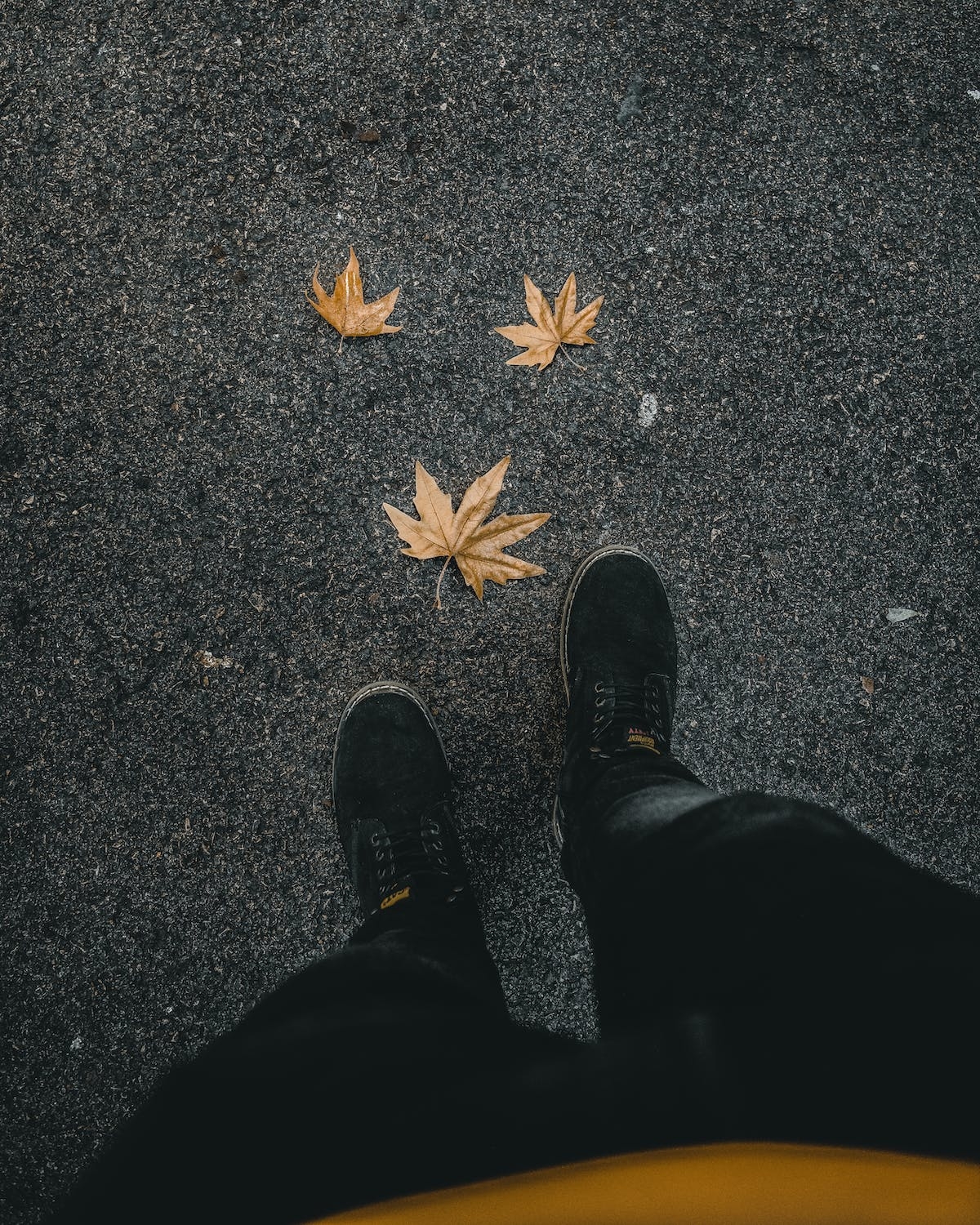 拍攝腳邊的落葉照也很美