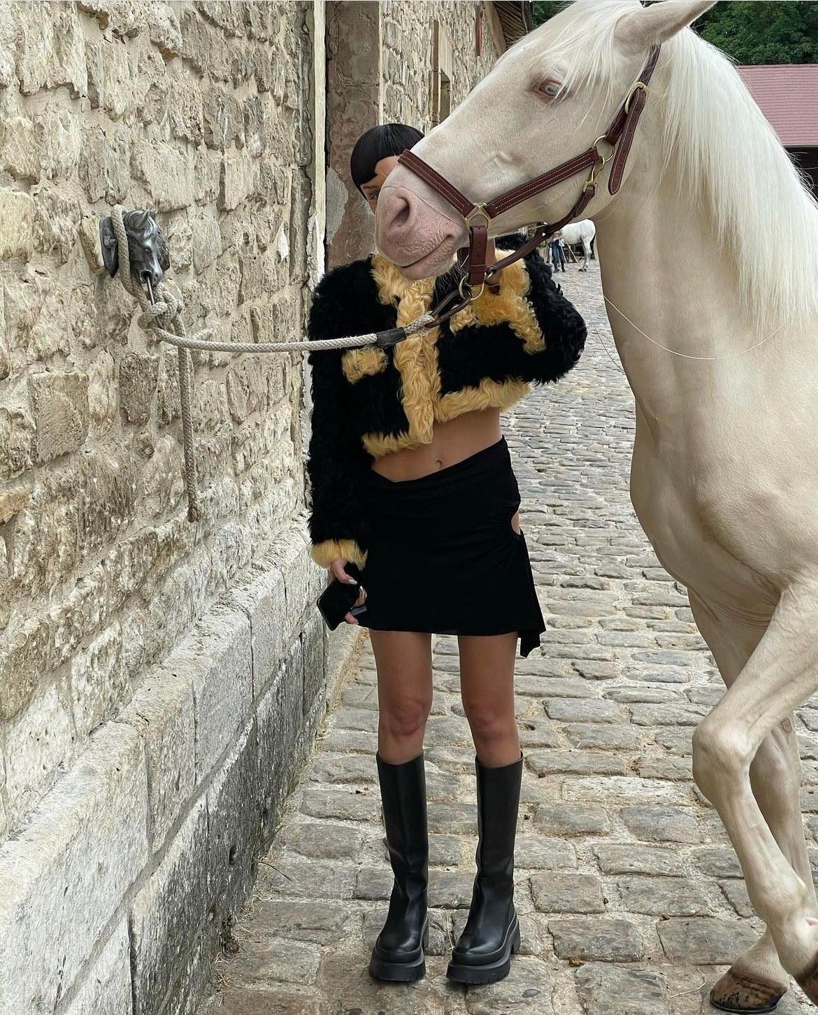@bellahadid