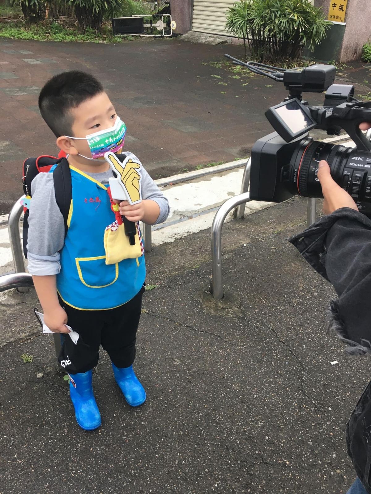 今年又爆紅