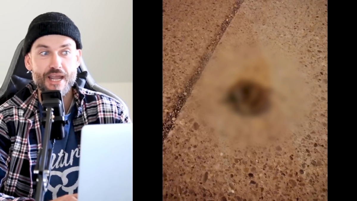 安柏赫德酒後脫序行為掀熱論