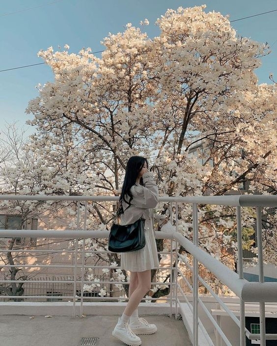 2023年「12生肖運勢排行榜」Top5:屬牛