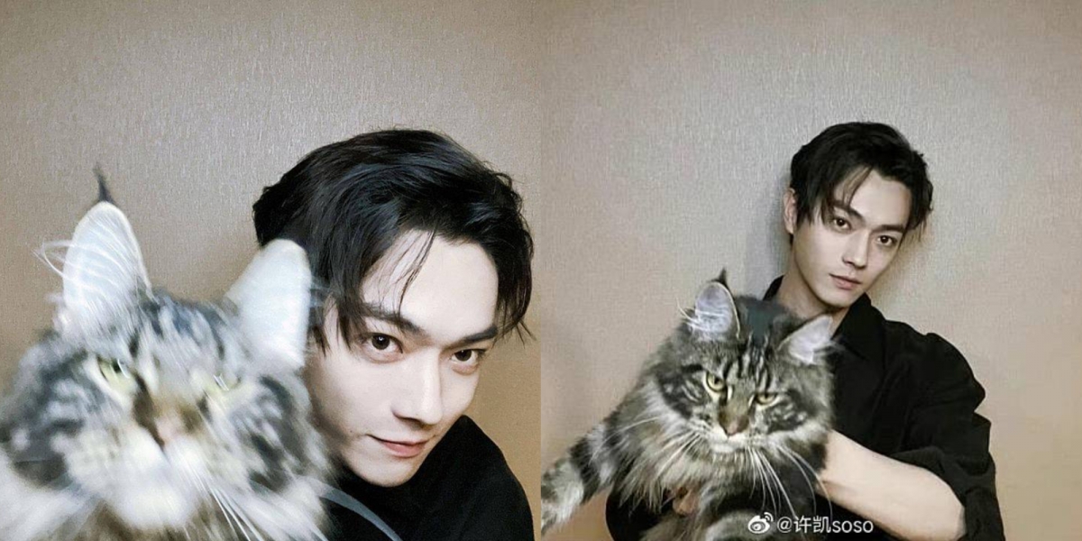 許凱私底下愛貓成癡。