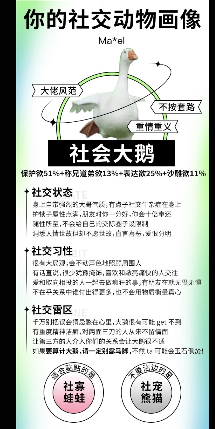 社會大鵝