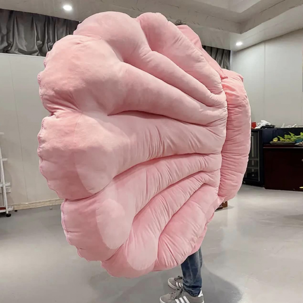 立起來直接可以跳蚌殼舞