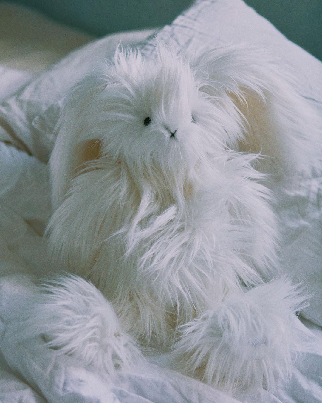 歐陽娜娜自創品牌「nabi」