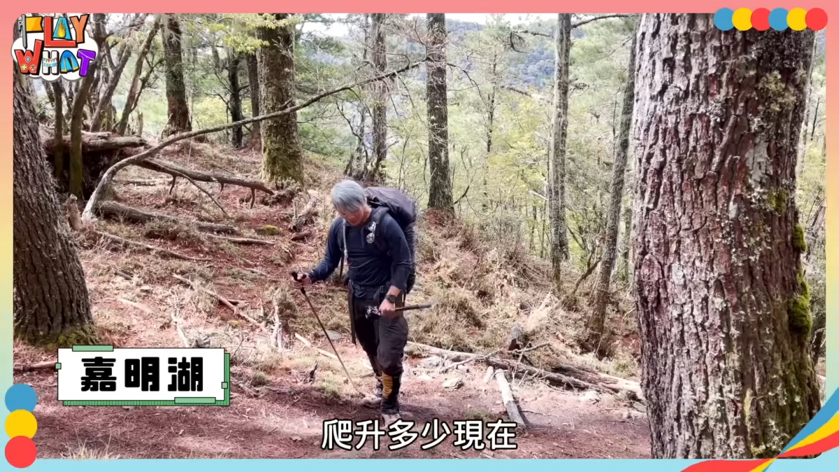 王仁甫透過高強度訓練練出身材