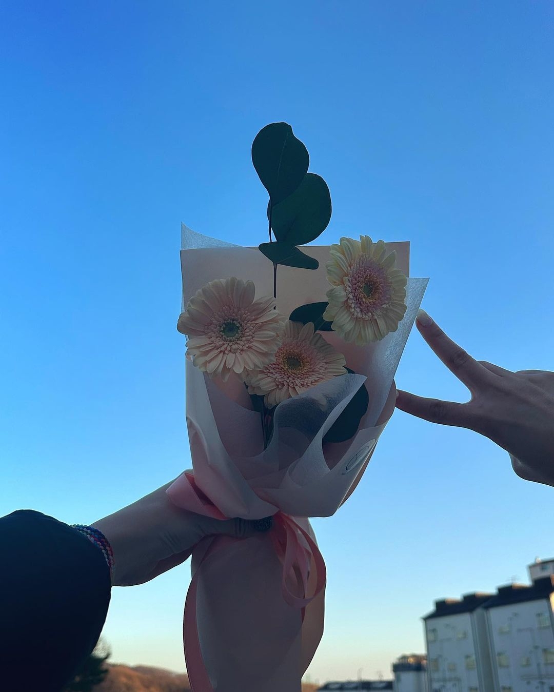 KARA成員去看荷拉