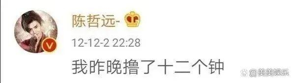 陳哲遠在未成年時發表的言論令人不敢恭維。